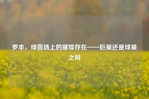 罗本，绿茵场上的璀璨存在——巨星还是球星之辩