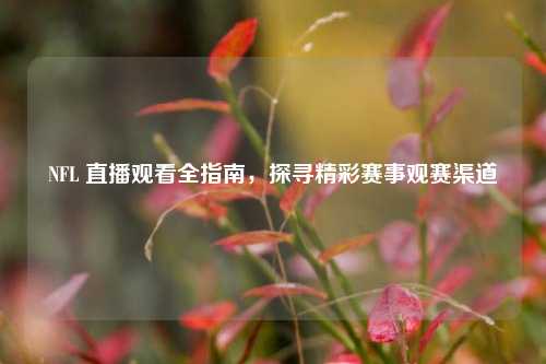 NFL 直播观看全指南，探寻精彩赛事观赛渠道