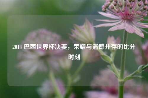 2014 巴西世界杯决赛，荣耀与遗憾并存的比分时刻