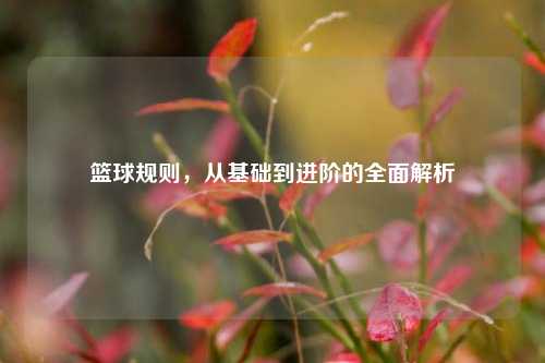 篮球规则，从基础到进阶的全面解析
