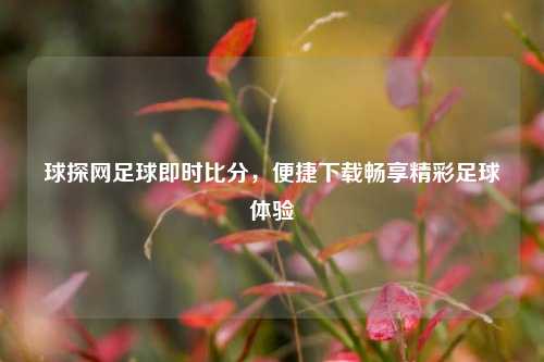 球探网足球即时比分，便捷下载畅享精彩足球体验