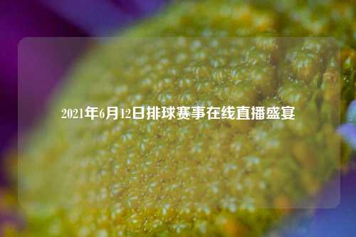 2021年6月12日排球赛事在线直播盛宴