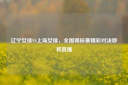辽宁女排VS上海女排，全国锦标赛精彩对决即将直播