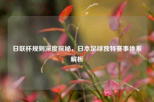 日联杯规则深度探秘，日本足球独特赛事体系解析