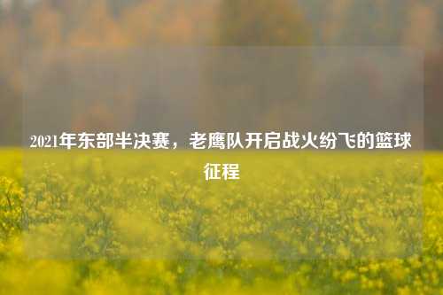 2021年东部半决赛，老鹰队开启战火纷飞的篮球征程