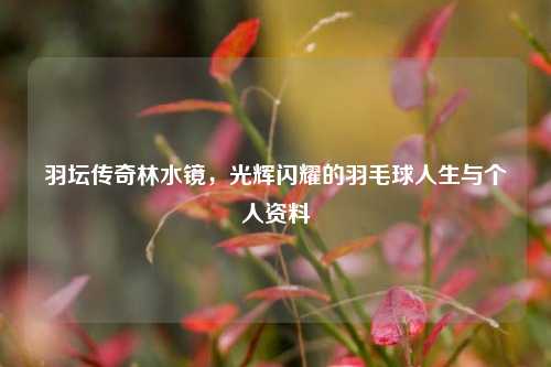 羽坛传奇林水镜，光辉闪耀的羽毛球人生与个人资料