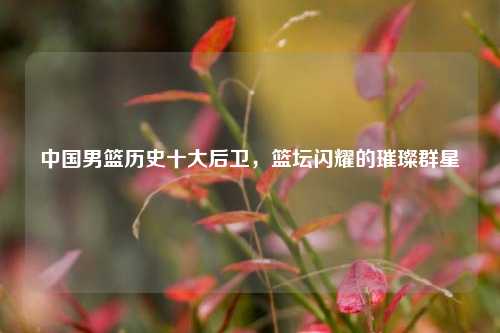 中国男篮历史十大后卫，篮坛闪耀的璀璨群星