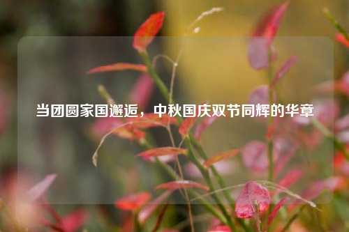 当团圆家国邂逅，中秋国庆双节同辉的华章