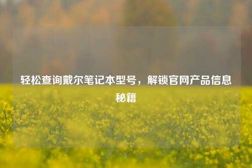 轻松查询戴尔笔记本型号，解锁官网产品信息秘籍