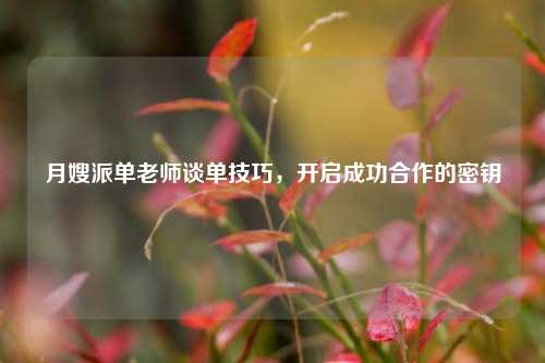 月嫂派单老师谈单技巧，开启成功合作的密钥