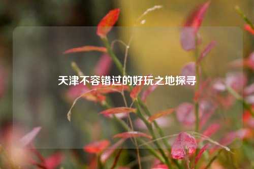 天津不容错过的好玩之地探寻