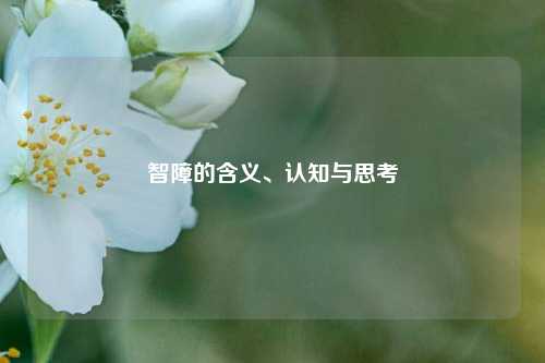 智障的含义、认知与思考