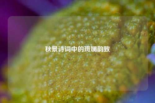 秋景诗词中的斑斓韵致