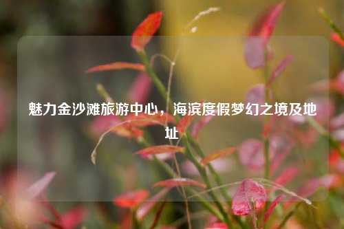 魅力金沙滩旅游中心，海滨度假梦幻之境及地址