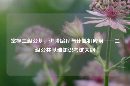 掌握二级公基，进阶编程与计算机应用——二级公共基础知识考试大纲