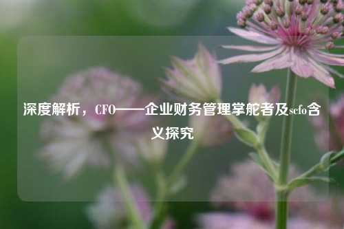 深度解析，CFO——企业财务管理掌舵者及scfo含义探究