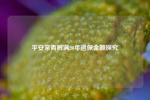 平安常青树满20年退保金额探究