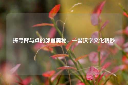 探寻背与桌的部首奥秘，一瞥汉字文化精妙