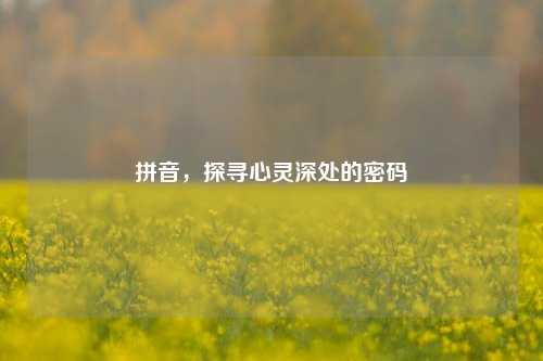 拼音，探寻心灵深处的密码