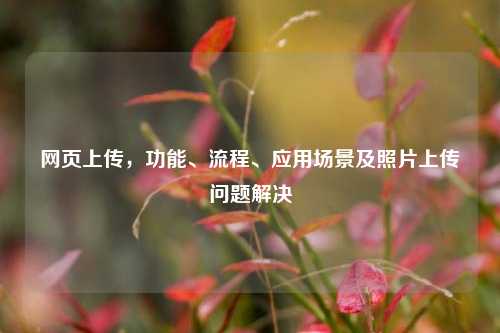 网页上传，功能、流程、应用场景及照片上传问题解决