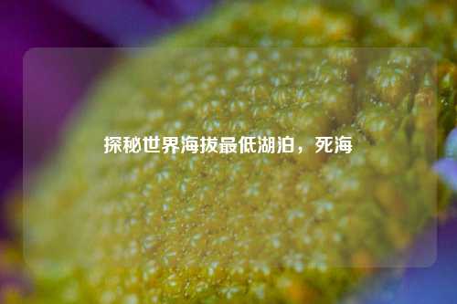 探秘世界海拔最低湖泊，死海