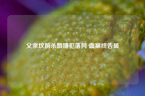父亲坟前杀姐嫌犯落网 血案终告破