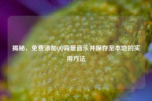 揭秘，免费添加QQ背景音乐并保存至本地的实用方法