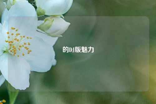 的DJ版魅力
