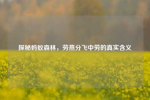 探秘蚂蚁森林，劳燕分飞中劳的真实含义