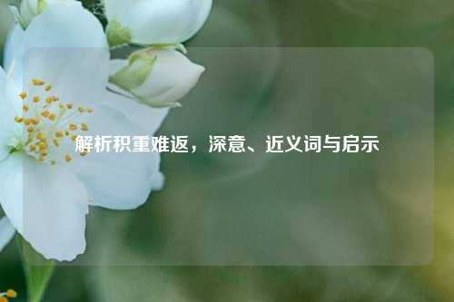 解析积重难返，深意、近义词与启示