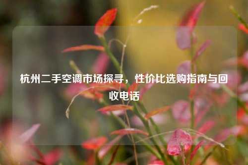 杭州二手空调市场探寻，性价比选购指南与回收电话