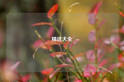 精选大全