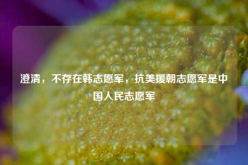 澄清，不存在韩志愿军，抗美援朝志愿军是中国人民志愿军
