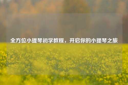 全方位小提琴初学教程，开启你的小提琴之旅