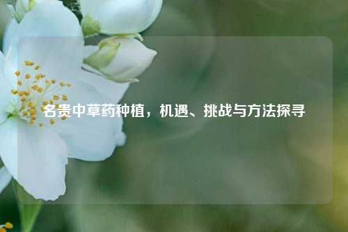 名贵中草药种植，机遇、挑战与方法探寻